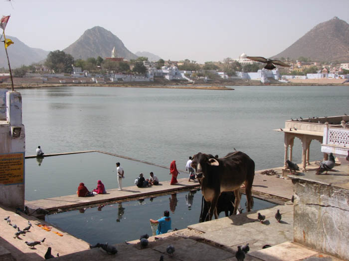 06_Pushkar 318