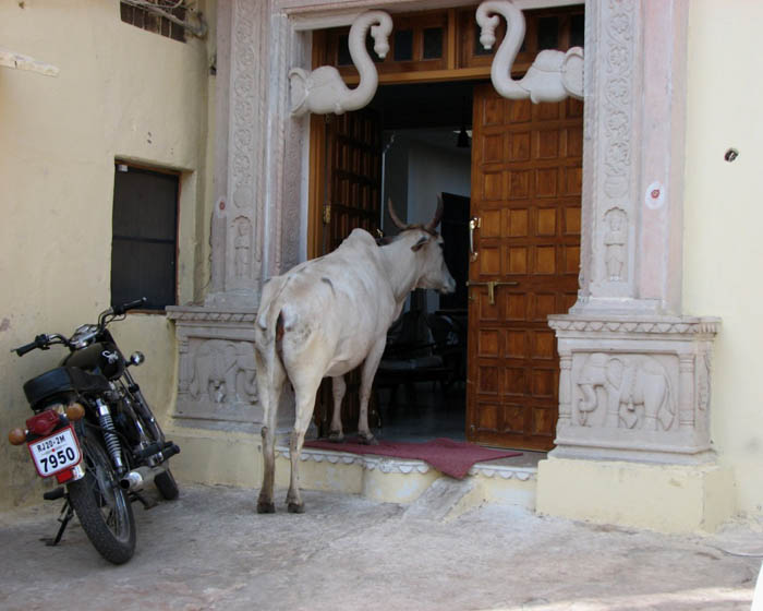 07_Bundi 038