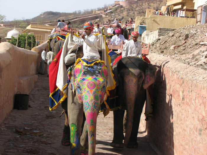 08_Jaipur 186