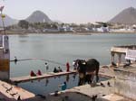 06_Pushkar 318