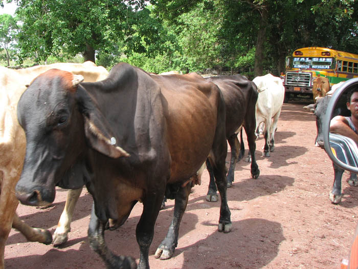 2_Ometepe 06