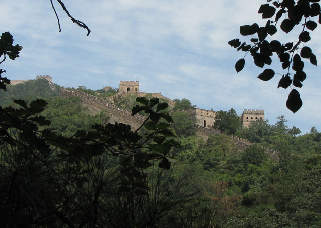 Wall 14