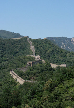 Wall 85