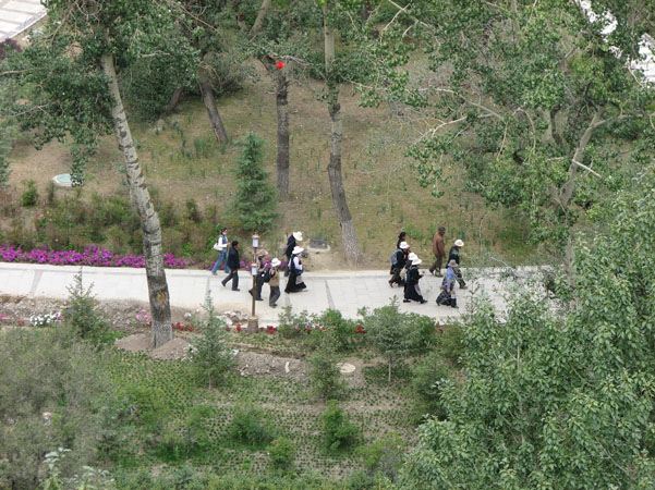 Lhasa 232