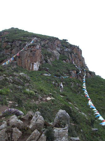 Lhasa 265