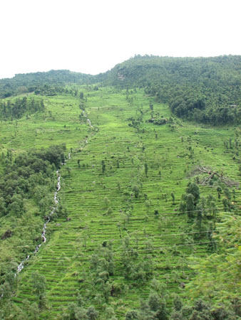 Into Nepal 059